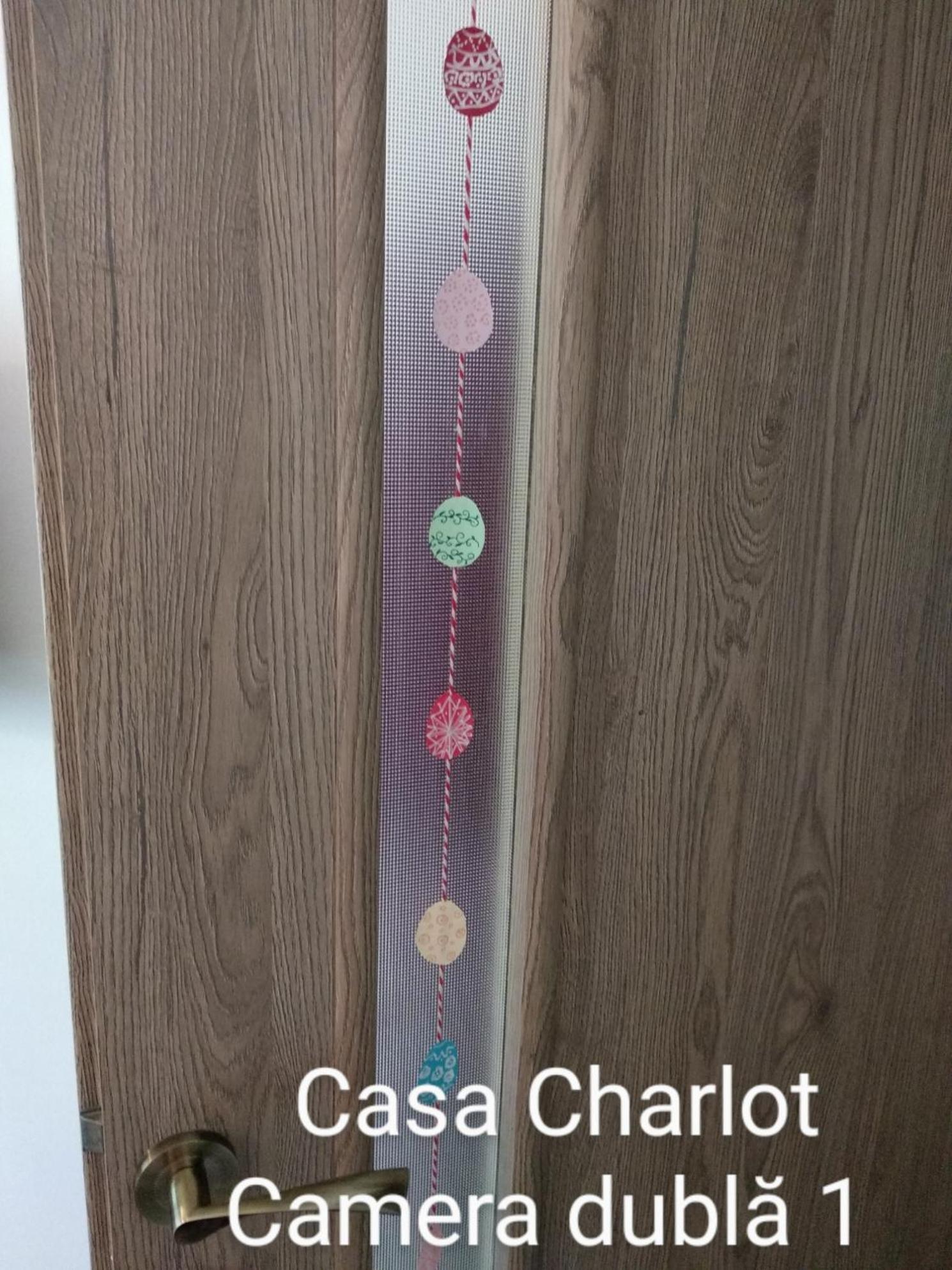 Casa Charlot Apartment Брашов Екстериор снимка